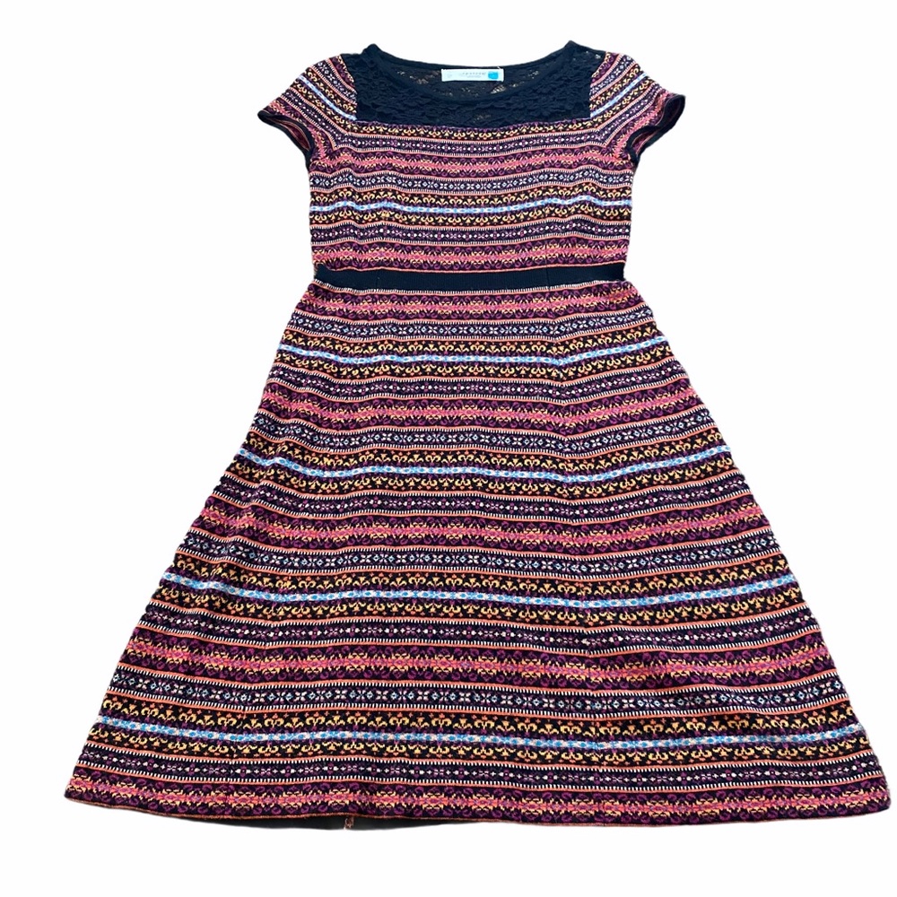 Sparrow Anthropologie sweater dress